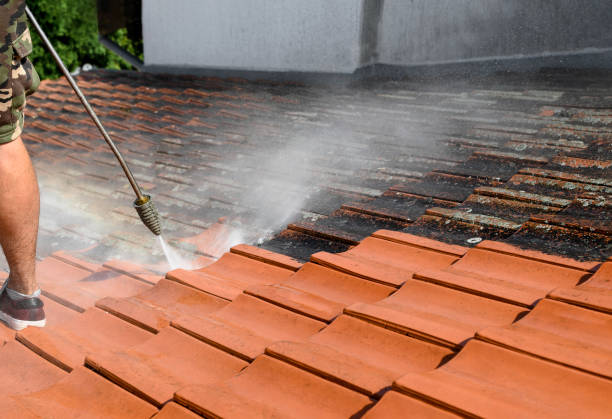 Best Affordable Pressure Washing  in Baraboo, WI